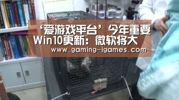 爱游戏下载
