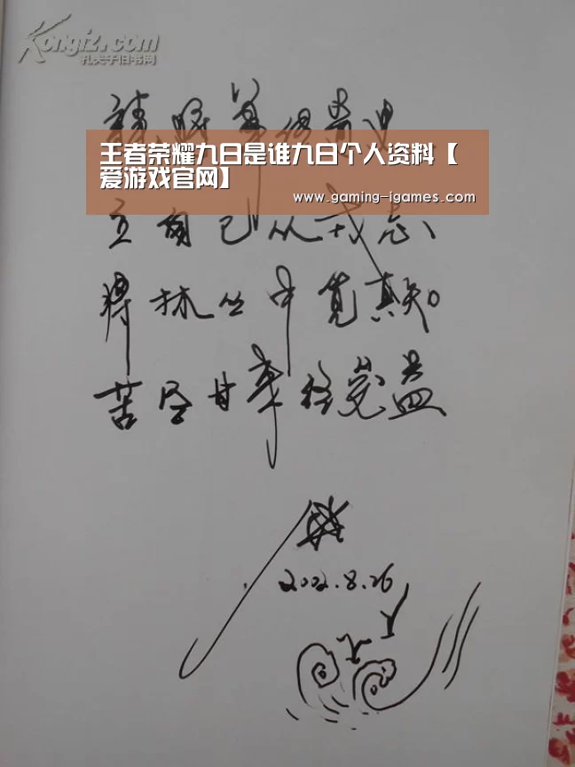 王者荣耀九日是谁九日个人资料【爱游戏官网】(图2) 爱游戏官网