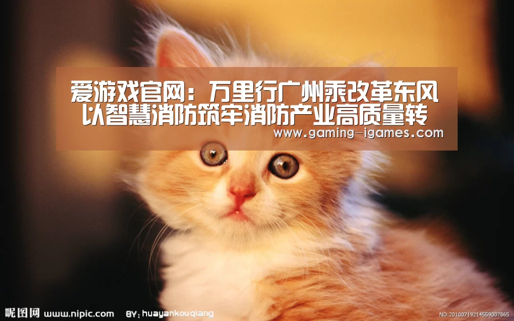 爱游戏官网