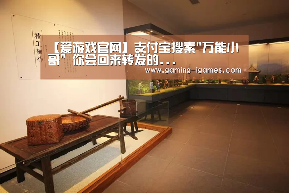 【爱游戏官网】支付宝搜索