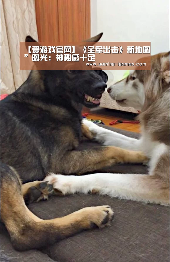 爱游戏官网